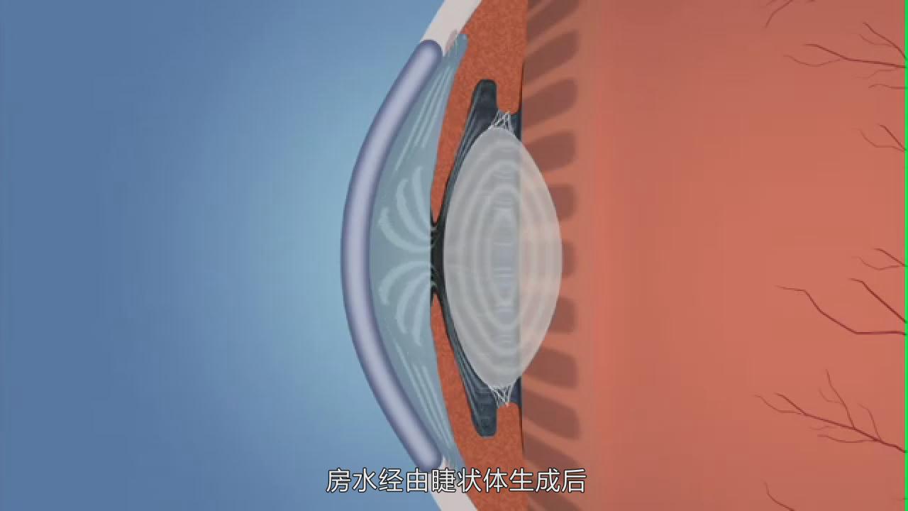 &#107;&#97;&#105;&#121;&#117;&#110;&#24320;&#20113;&#23448;&#26041;&#32593;&#39029;&#29256;&#45;&#107;&#97;&#105;&#121;&#117;&#110;&#24320;&#20113;&#40;&#20013;&#22269;&#41;